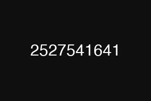 2527541641