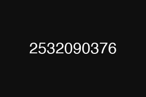 2532090376