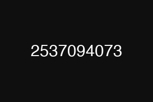 2537094073