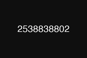 2538838802