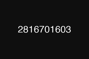 2816701603
