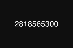 2818565300