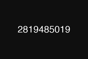 2819485019