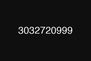 3032720999
