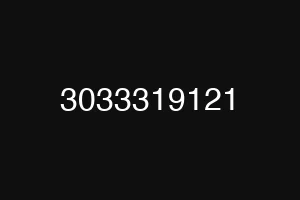3033319121