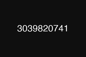 3039820741