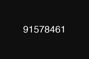 91578461